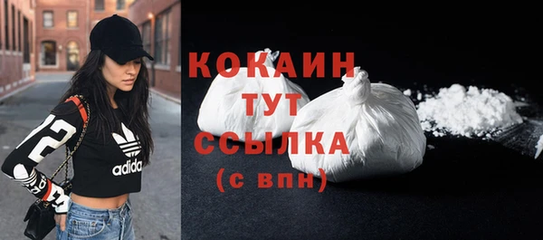 ПСИЛОЦИБИНОВЫЕ ГРИБЫ Пересвет