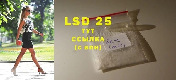 ПСИЛОЦИБИНОВЫЕ ГРИБЫ Пересвет