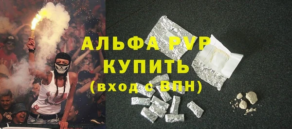 ГАЛЛЮЦИНОГЕННЫЕ ГРИБЫ Пестово