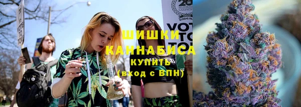 ГАЛЛЮЦИНОГЕННЫЕ ГРИБЫ Пестово
