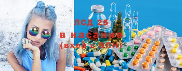 ПСИЛОЦИБИНОВЫЕ ГРИБЫ Пересвет