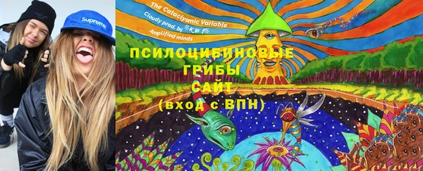 ПСИЛОЦИБИНОВЫЕ ГРИБЫ Пересвет
