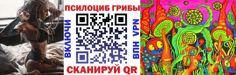 Галлюциногенные грибы Psilocybine cubensis Плавск